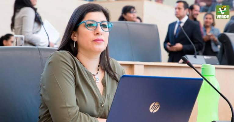 Vanessa Sánchez deja el PVEM; acusa falta de legitimidad en nueva dirigencia