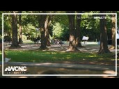 Mayor Vi Lyles declares October 'Charlotte Tree Month'