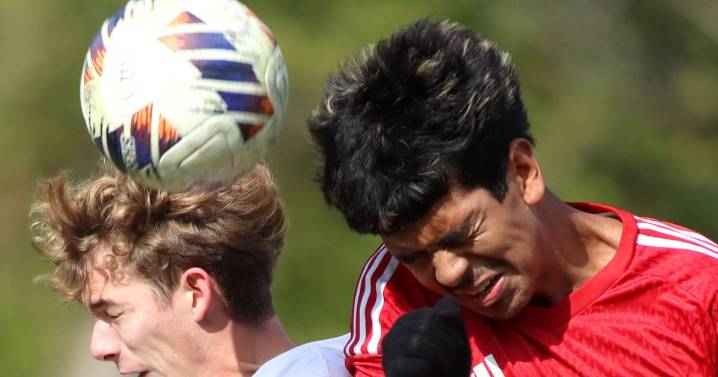 Photos: Dundee-Crown vs. St. Charles, IHSA Class 3A Regional Championship soccer – Shaw Local