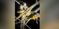 Turkey fried after causing Carteret County power outage affecting hundreds