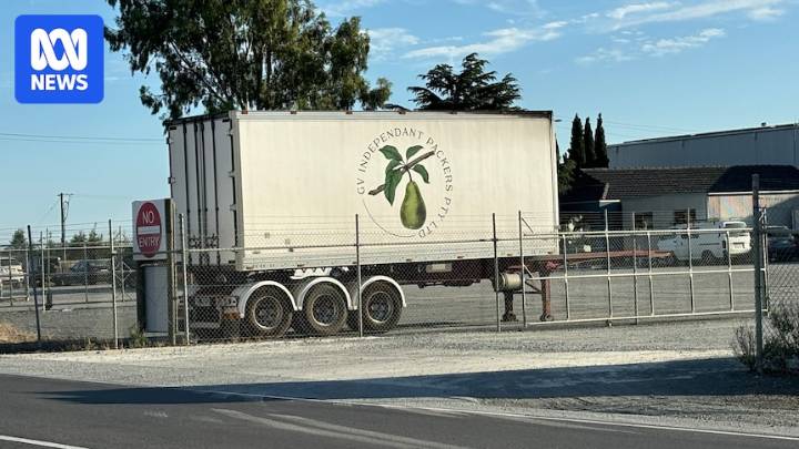 Victorian fruit grower to stand trial over coolroom death of truck driver