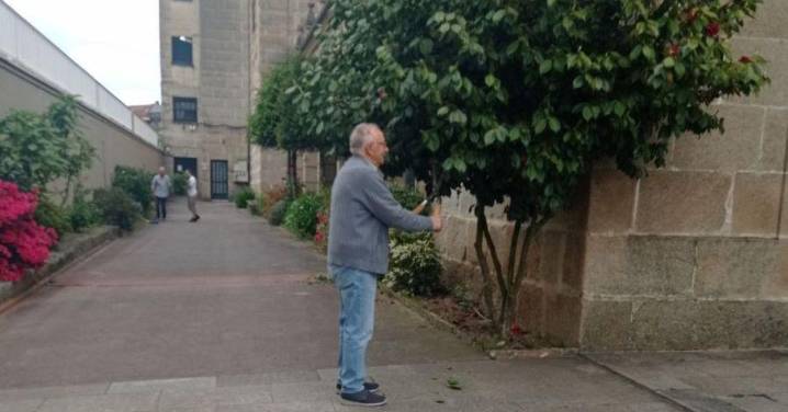 Fátima esconde un pequeño jardín botánico en su interior