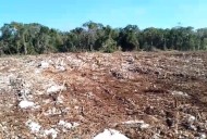 Ecocidio en zona arqueológica de Kinchil