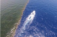 Ecos del agua: Las sombras del oxígeno