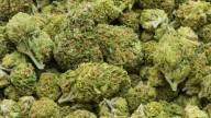 Three held with 1000 kg ganja worth Rs 2 crore in Vijayawada