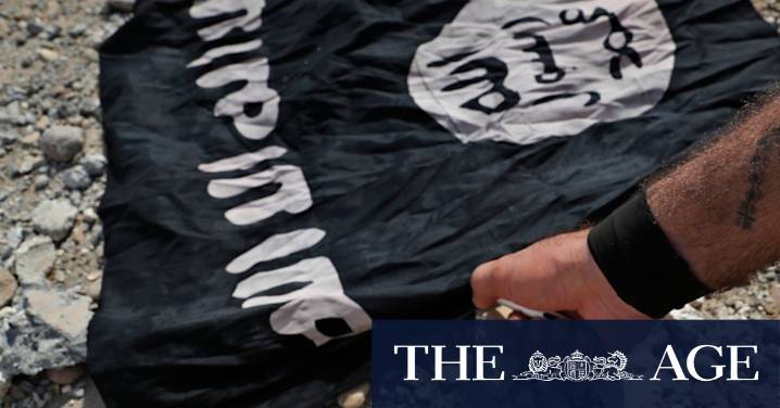 Women and children return to Australia after smuggling themselves out of Syria