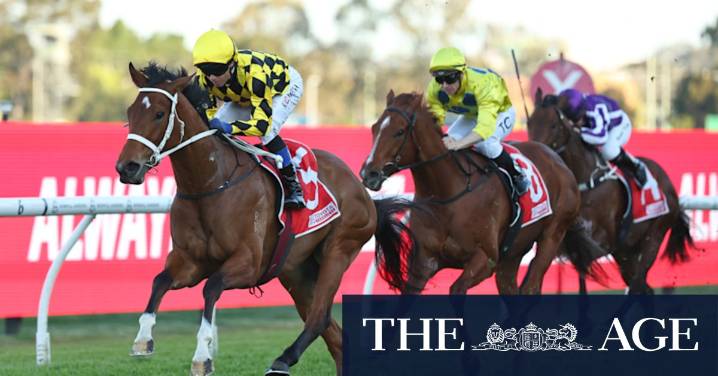 Bookmaker fears Autumn Glow’s ‘Winx feel’ could bring $1m loss