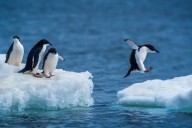 NTFSplus is a new read-write NTFS driver for Linux • The Register