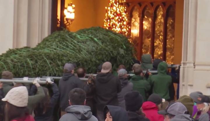 Annual Christmas tree raising at the Biltmore