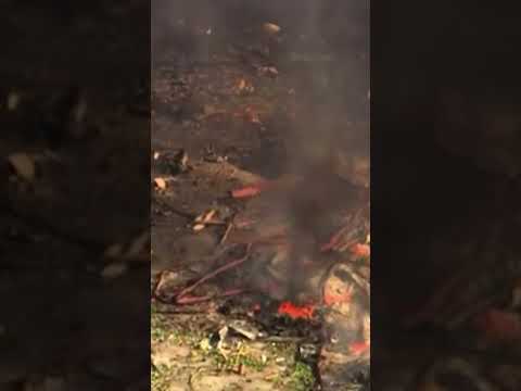 Nineteen People Missing After Explosion at a Tennessee Bomb Factory #shorts