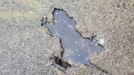 The 'Chicago rat hole' sparked internet fervor in 2024. Now, scientists have found the culprit