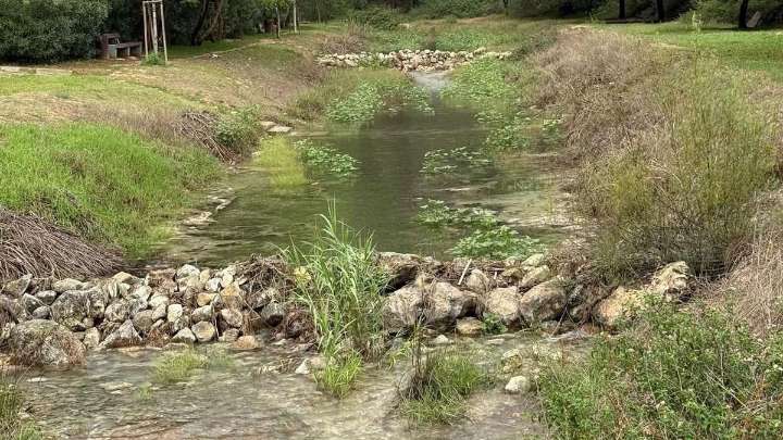 El nacimiento del Riu Sants vuelve a brotar en l'Alcúdia de Crespins tras las lluvias