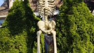 Big bones are a big trend this Halloween and beyond