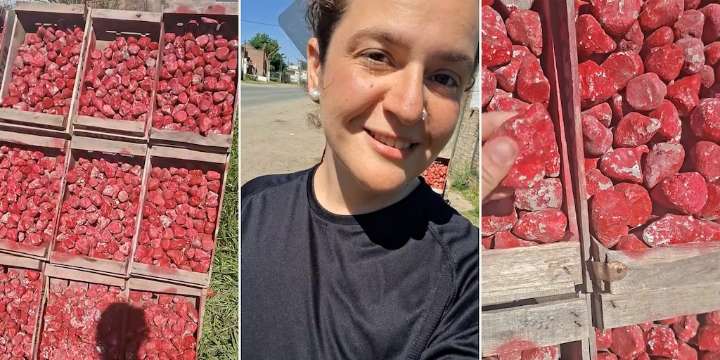 El ingenio argentino que arrasa en TikTok: las frutillas de piedra que engañaron a todos en Santa Fe