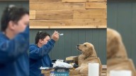 Minnesota Woman’s Video Of Her Husband With Their Dog Perfectly Sums Up Pet Parenthood