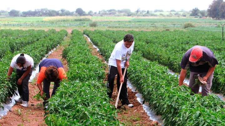 Ayacucho no concreta ejecución de proyectos por impuestos pese a múltiples propuestas