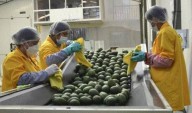 Economía suma 17 meses consecutivos de crecimiento, según el MEF