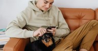 Científicos logran predecir la edad biológica y esperanza de vida de los perros y los humanos a través de su sangre