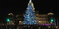 State Christmas tree selected for 2025 holiday season