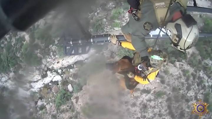 Vídeo: Así ha sido el rescate de película de un animal herido