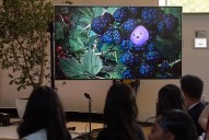 Microsoft presenta Mico, su nuevo personaje de inteligencia artificial