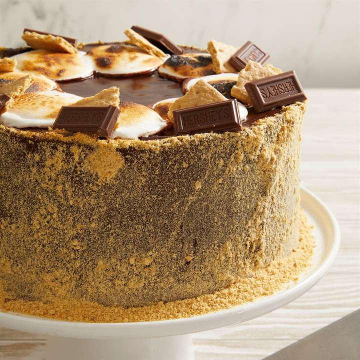 S'mores Cake Recipe