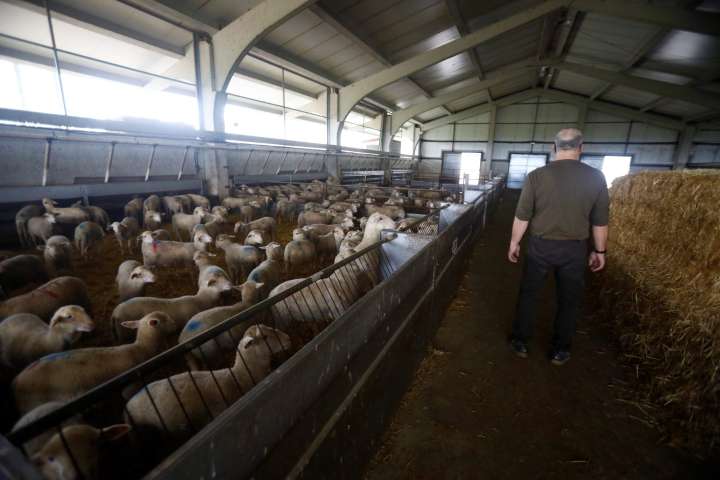 La transformación de los sistemas alimentarios puede reducir sus emisiones anuales a más de la mitad