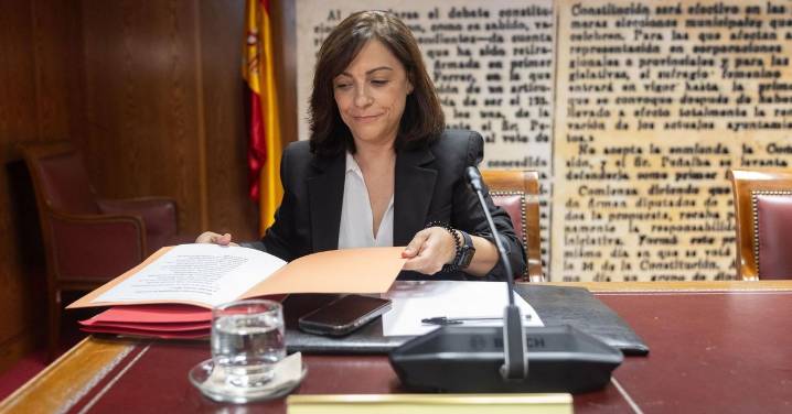 La gerente del PSOE niega en el Senado una caja “B” en el partido