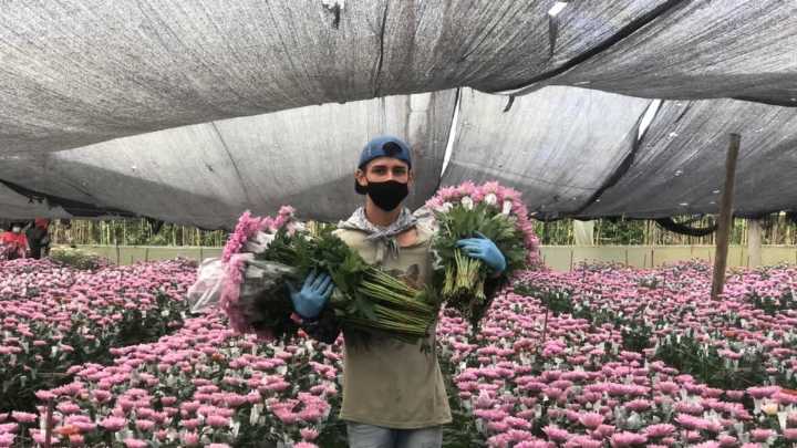Florverde Sustainable Flowers, con 29 años de trayectoria, reduce 63 % el uso de plaguicidas y certifica más de 9.000 hectáreas en Colombia y Ecuador
