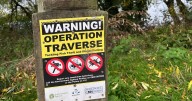'Attention seeker' - reservoir regulars criticise Nigel Farage's claim that migrants are eating swans