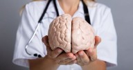 Hallazgo científico histórico: descubren qué le pasa al cerebro al morir y cambia todo lo que conocemos