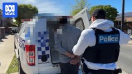 Luna Park machete brawl accused free on bail after alleged St Kilda attack