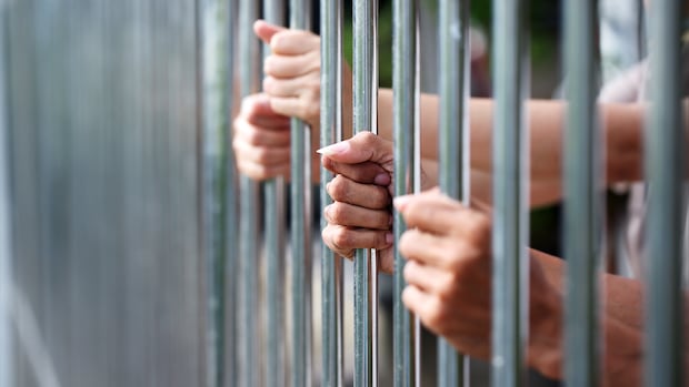 Who gets bail — and who doesn't? Take a look inside Manitoba's courtrooms