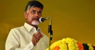 Chief Minister Naidu Begins UAE Visit, Meets Industry Leaders To Promote Investments In Andhra
