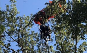 Tandem skydivers become separated, with one falling to his death and the other hanging from a tree