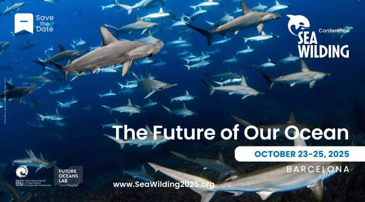 Seawilding, una visión multidisciplinar para el reto global de la conservación marina