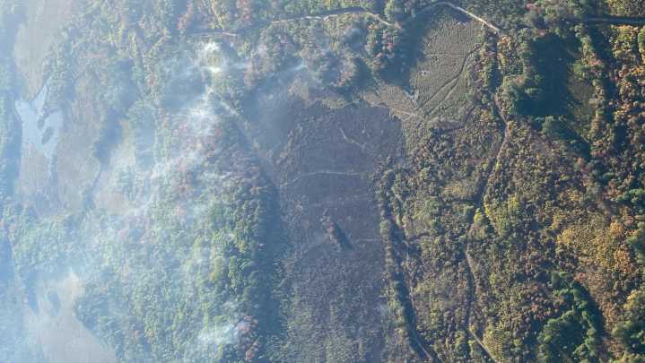 Michigan DNR firefighters battle blaze near Houghton Lake. What we know