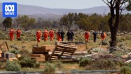 Inside the search for missing four-year-old boy Gus on isolated SA sheep station