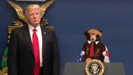 Trumpy Bear Selected As New Secretary Of Defense