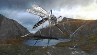 Mosquitoes have just been found in Iceland for the first time. It’s more alarming than it sounds