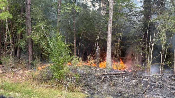 Firefighters contain multiple roadside fires along Highway 63 west in Jasper County