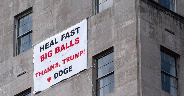 Teenagers Who Assaulted 'Big Balls' DOGE Staffer Avoid Jail, Get Probation