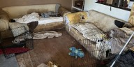 Suspects facing 109 counts of animal abuse after more than 100 animals rescued from home north of Denver