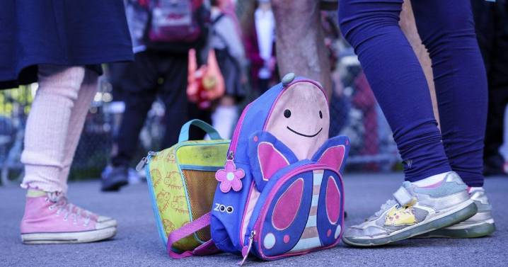 Fact File: No evidence Canadian schools banning pork from lunches