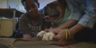 Dogs help struggling readers in Mid
