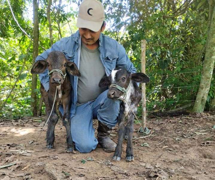 Apoyados por Ecopetrol más de 800 productores de Casanare fortalecen sus sistemas agropecuarios
