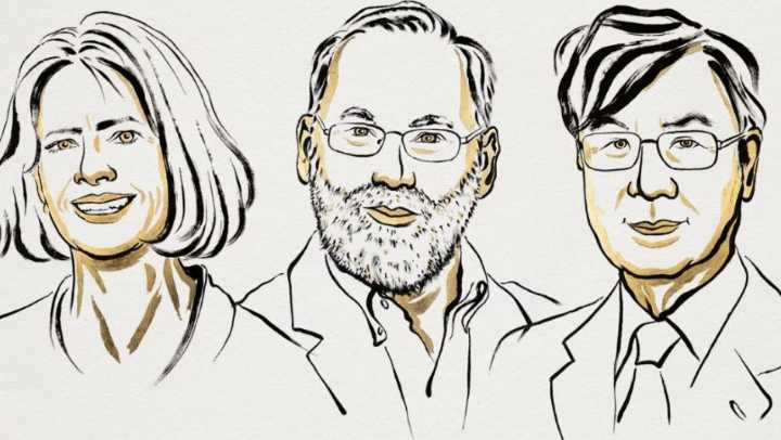 Ganan el Nobel de Medicina tres científicos por avances en la investigación del sistema inmunitario