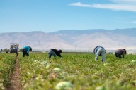 Las consecuencias de la política migratoria de Trump, según la Fed