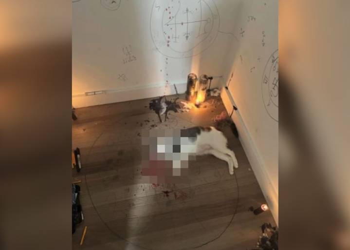 Bronx man arrested for posting video of himself torturing cat to death in occult ritual