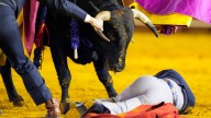 El Cid, operado de una cornada interna